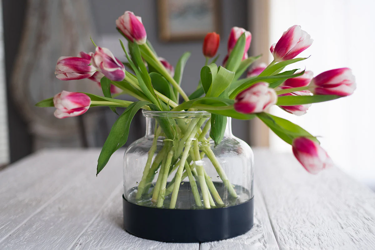 Bloom Vase Trio - Image 16