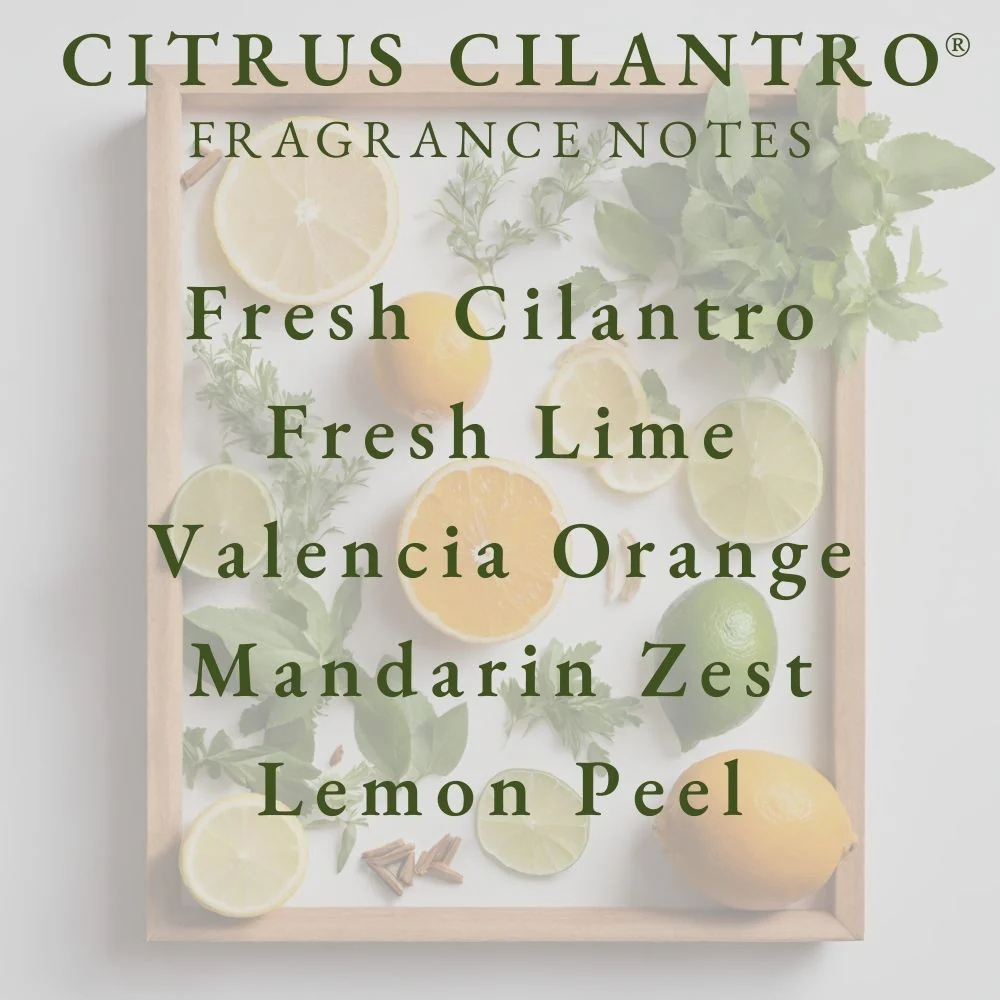 Pier 1 Citrus Cilantro® Reed Diffuser - Image 3