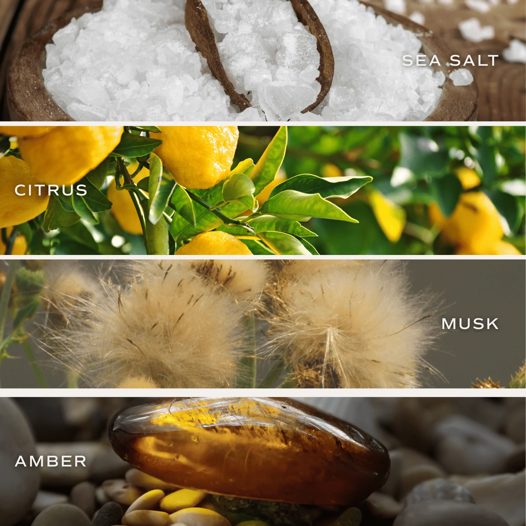 Salt and Sea Tinted Glass Jar Reed Diffuser - Image 3