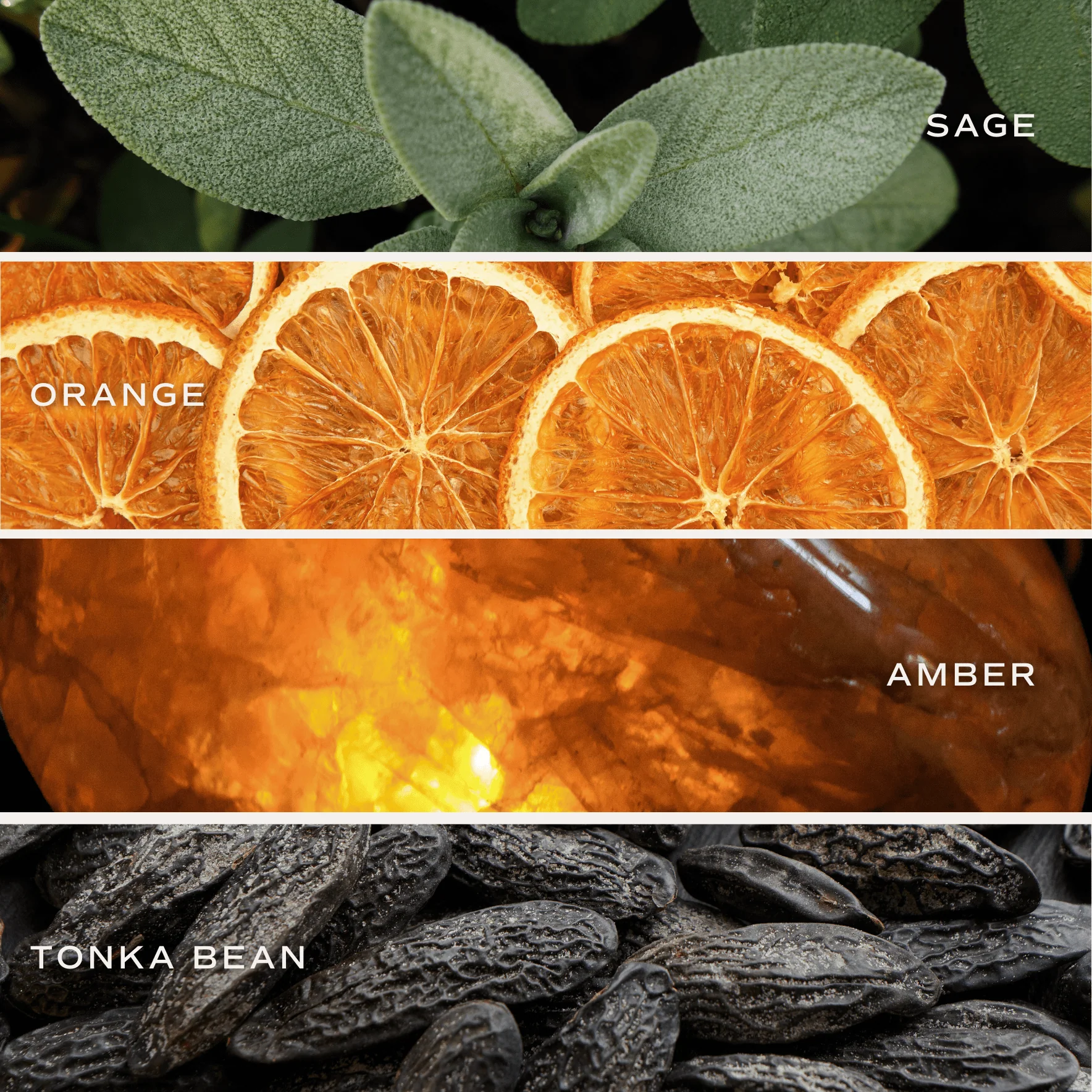 Weekend Tinted Glass Jar Reed Diffuser - Image 7